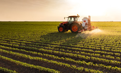 formation protection cultures et réduction des herbicides