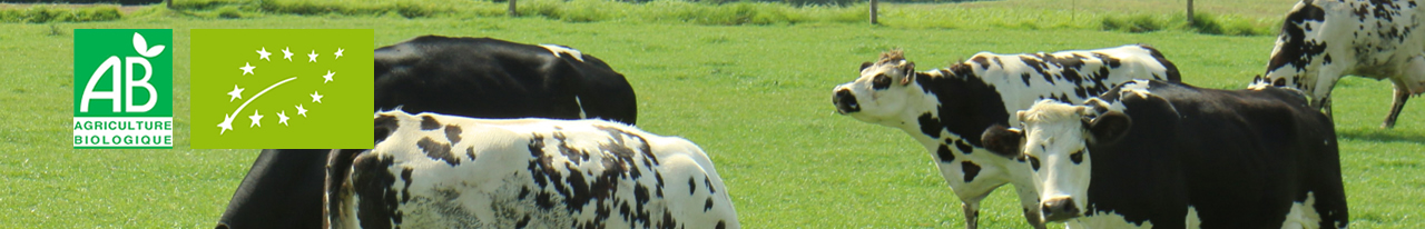 Agriculture biologique Vaches laitières