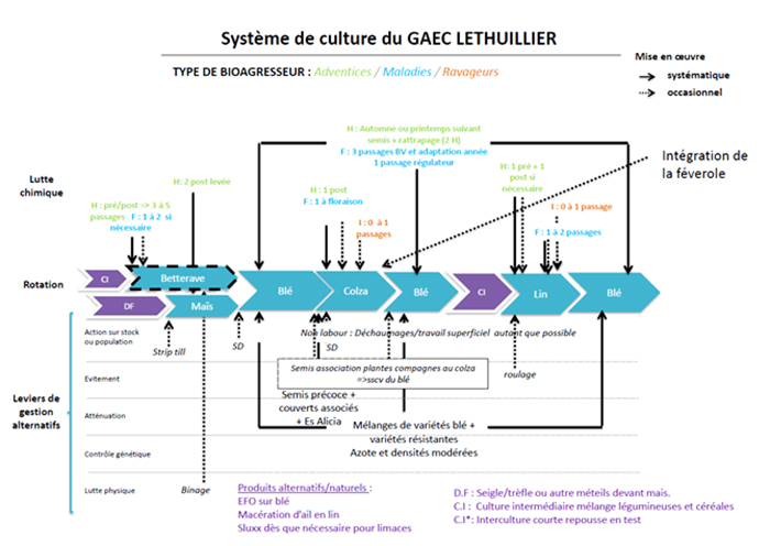 Système de culture du GAEC Lethuillier