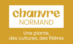 Plante d'hier et tissu de demain : le chanvre normand - Normandie  Attractivité