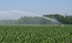 Mesurer l'intérêt de l'irrigation