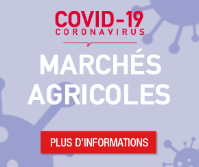 marchés agricoles dans le cadre du coronavirus