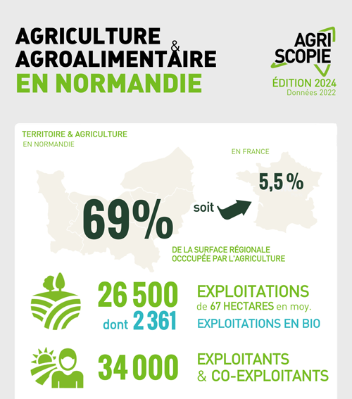 infographie d'agri'scopie sur les exploitations agricoles normandes